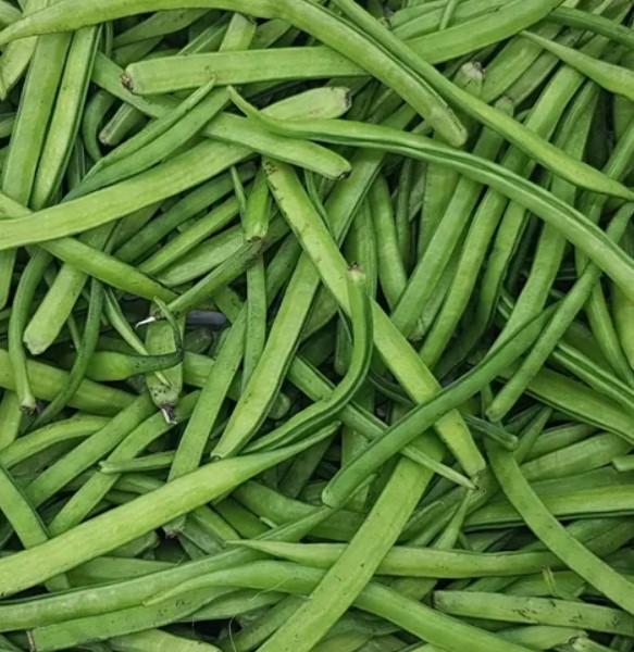Fresh Cluster Beans